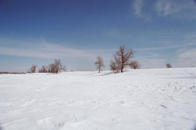 014_14d.jpg