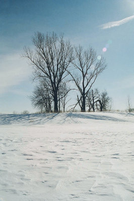 013_13d.jpg
