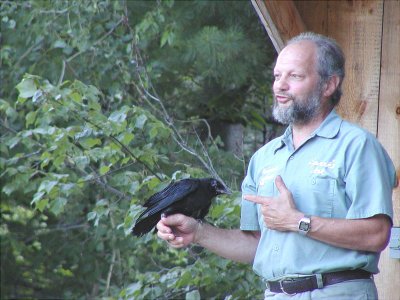 acres08-13 crow.jpg