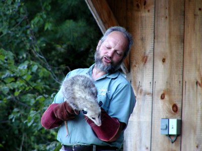 acres08-14 opossum.jpg