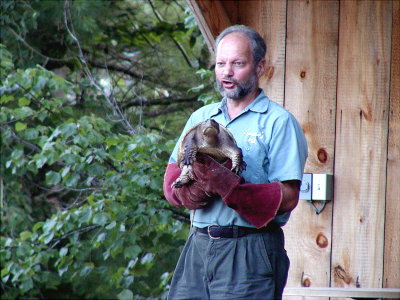 acres08-16 snapturtle.jpg