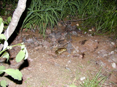 acres08-29.jpg
