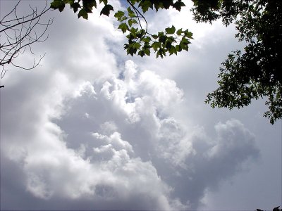 acres-09-015.jpg