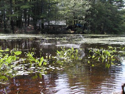 acres-09-023.jpg