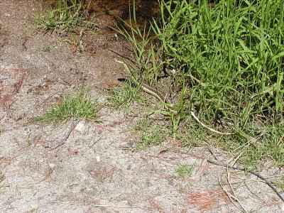 acres-09-028.jpg