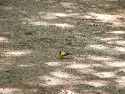acres-09-036.jpg