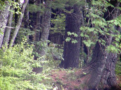 acres-09-045.jpg