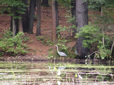 acres-09-050.jpg