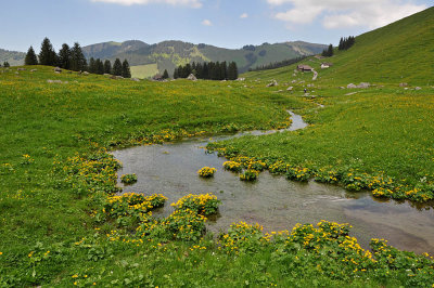 Hike to the Kronberg