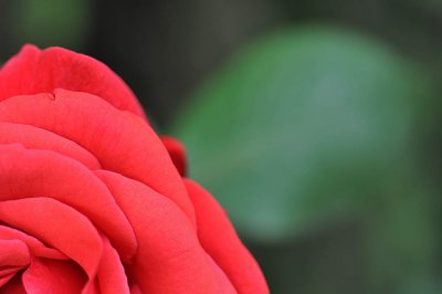 g1/50/322150/3/125958817.fzKcXPR1.jpg