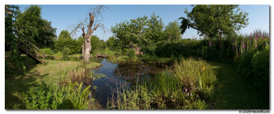 vijver_mei_2009_180_pano