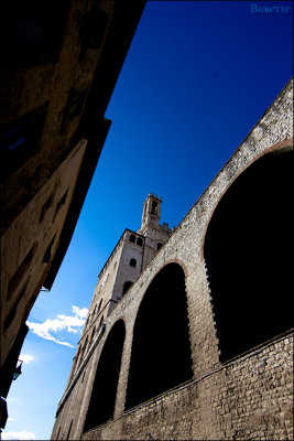 Canon_EOS_1D_Mark_II_20100725_181437_IL5M7019.jpg