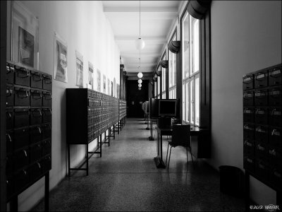 g1/50/342350/3/146413861.UuTaTISK.jpg