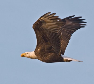 g1/50/363450/3/110010578.Ho3VEIMp.jpg