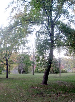 Riverview Park
