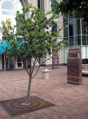 IMG_5045.jpg