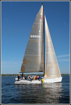 IMG_2679.jpg
