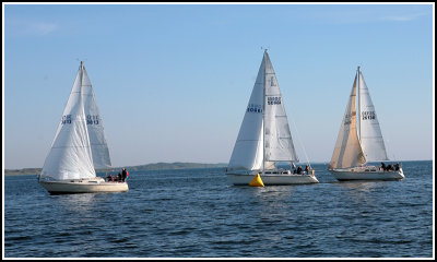 IMG_2682.jpg