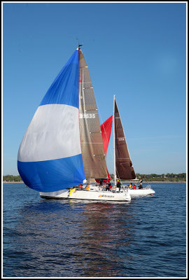 IMG_2697.jpg