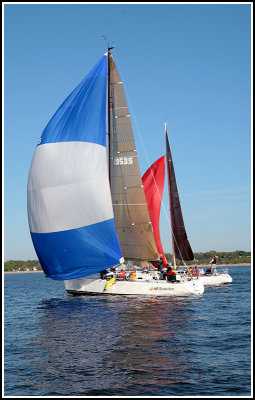 IMG_2698.jpg