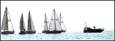 rIMG_8147.jpg