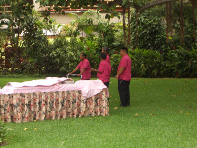 HAWI3520.JPG
