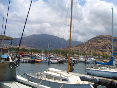 HAWI3535.JPG