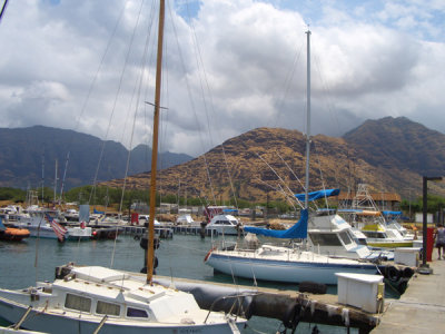 HAWI3536.JPG