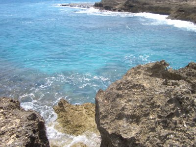 HAWI3548.JPG