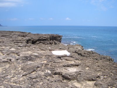 HAWI3549.JPG