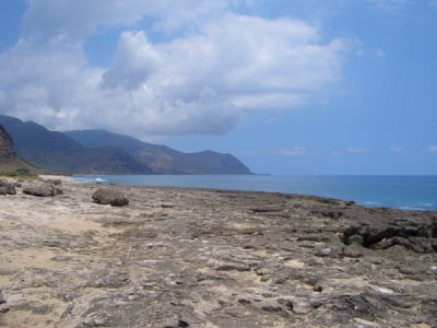 HAWI3550.JPG
