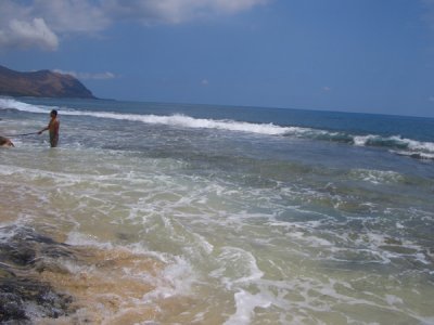 HAWI3556.JPG
