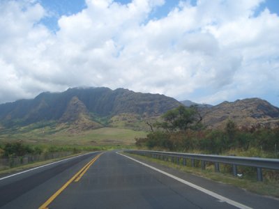 HAWI3578.JPG