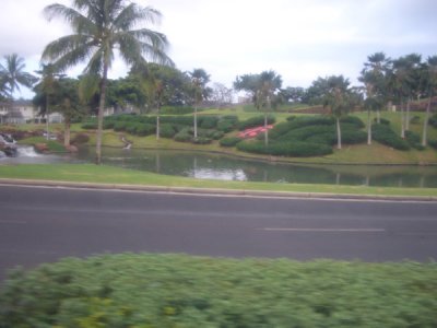 HAWI3586.JPG