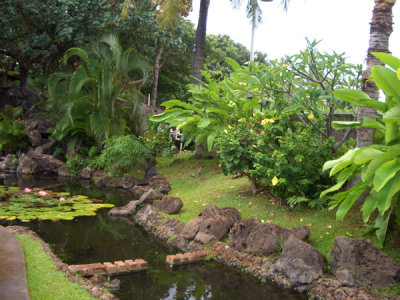 HAWI3592.JPG