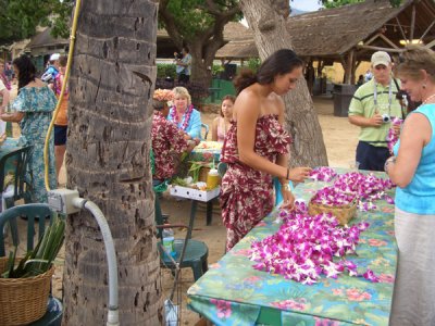 HAWI3606.JPG