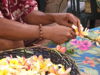 HAWI3610.JPG