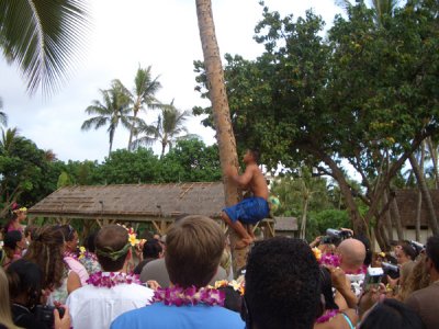 HAWI3633.JPG