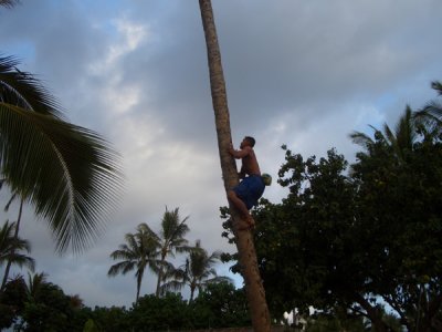 HAWI3634.JPG