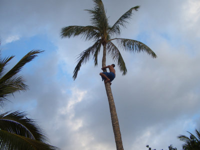 HAWI3637.JPG