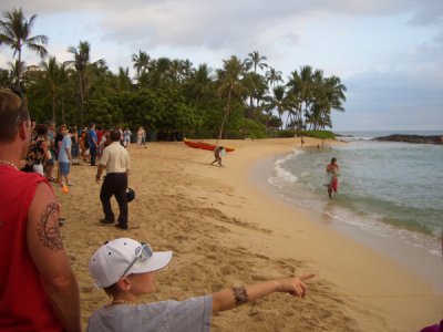 HAWI3641.JPG
