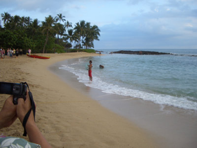 HAWI3643.JPG