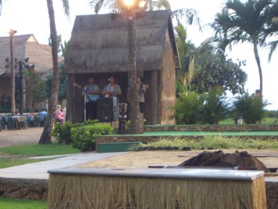 HAWI3673.JPG
