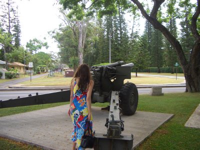 HAWI3728.JPG