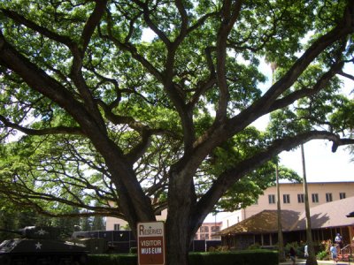 HAWI3746.JPG