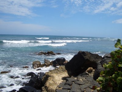 HAWI3754.JPG