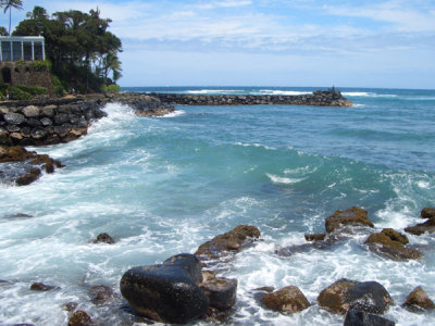 HAWI3759.JPG