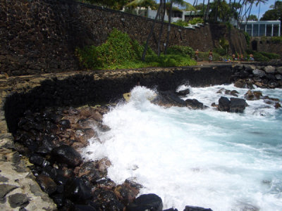 HAWI3760.JPG