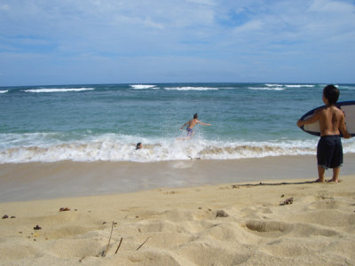 HAWI3779.JPG