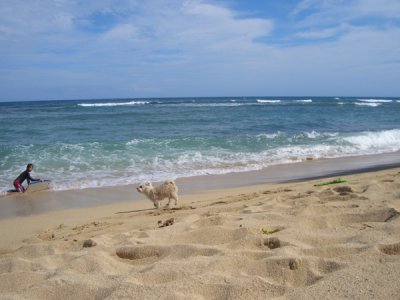 HAWI3785.JPG
